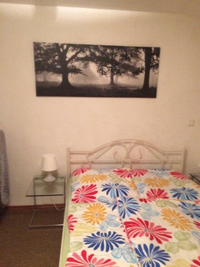 Wohnung Nur Fuer Monteure Und Handwerker Bad Krozingen Bagian luar foto